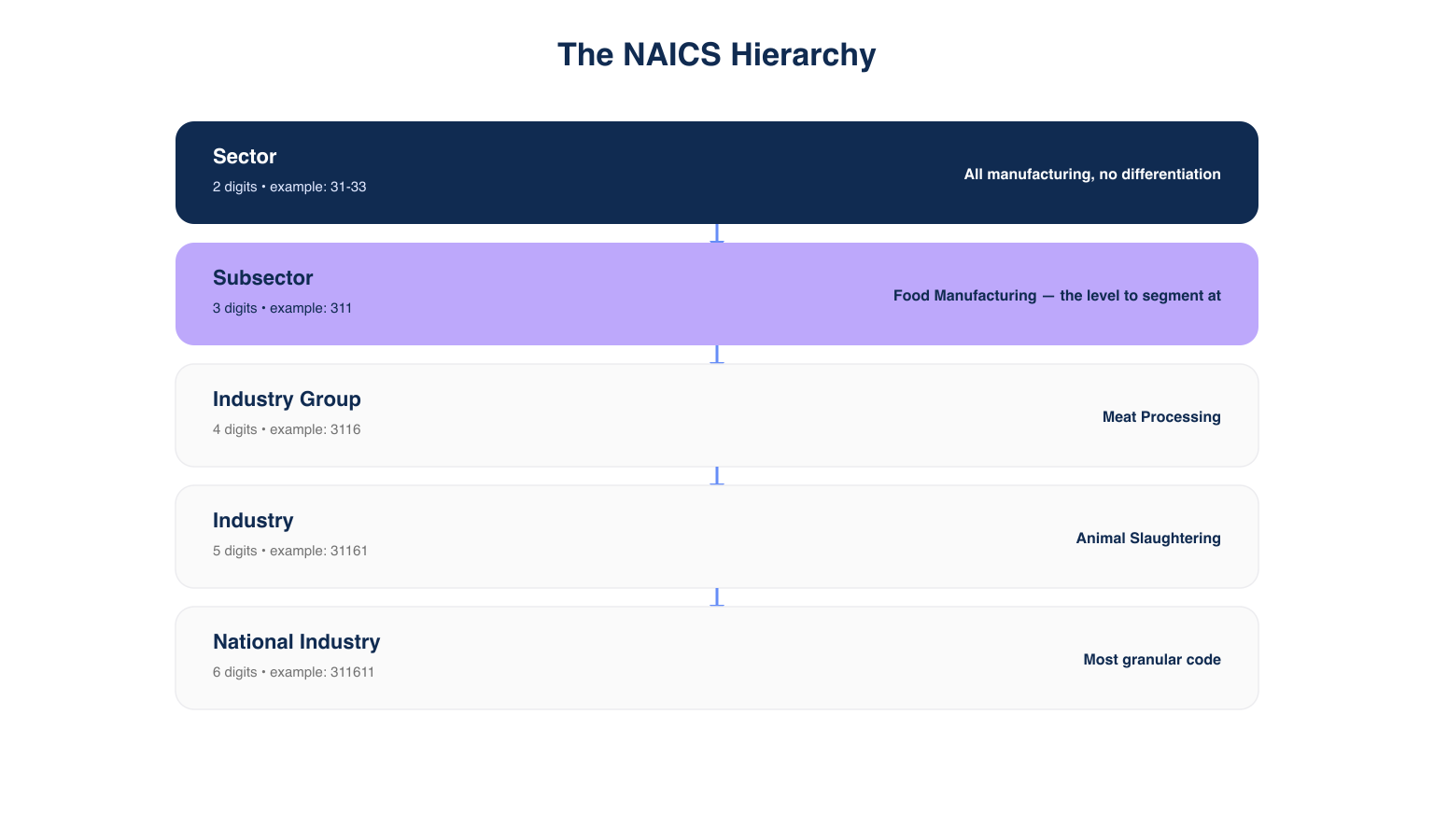 NAICS hierarchy diagram showing sector, subsector, industry group, industry, and national industry levels for manufacturing